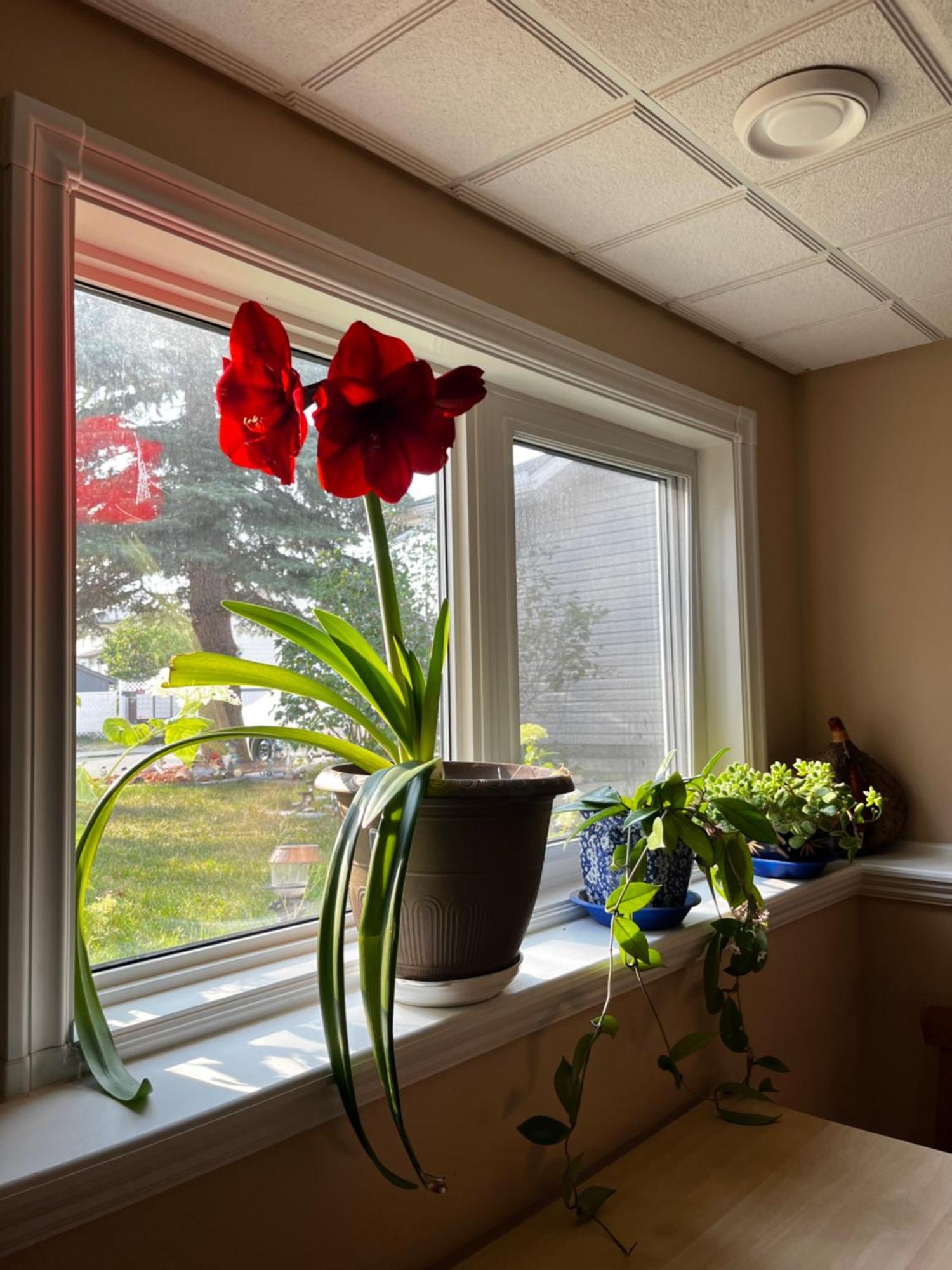 Citadel Hills Valley YYC Екстериор снимка